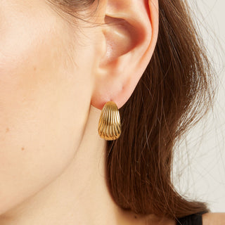 Shell Hinged Hoop Earrings