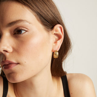 Shell Hinged Hoop Earrings