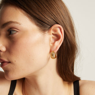 Shell Hinged Hoop Earrings