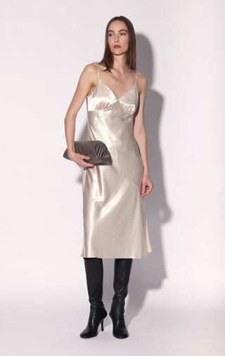 Bristol Dress, Champagne