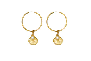 Clam Shell Hoops