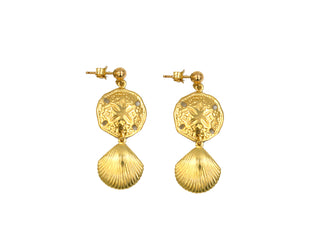Sand Dollar and Shell Earrings